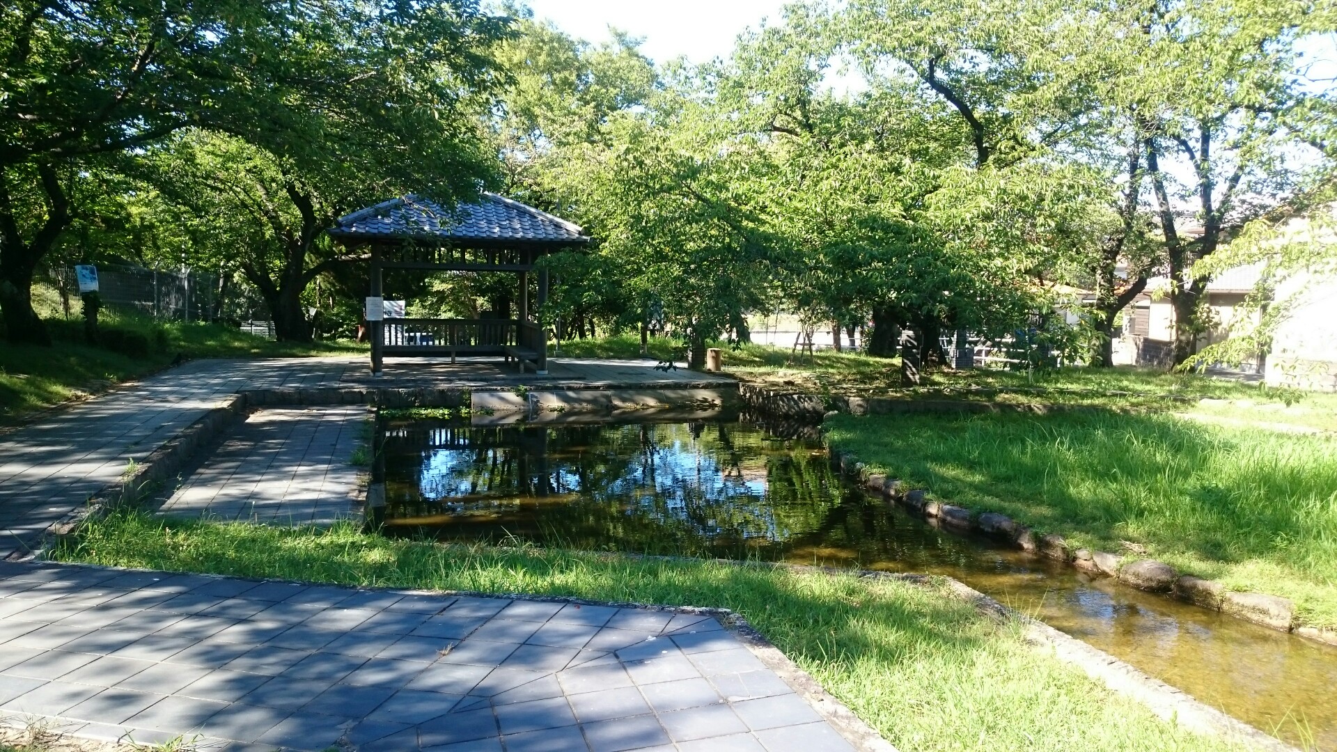 大山緑地公園